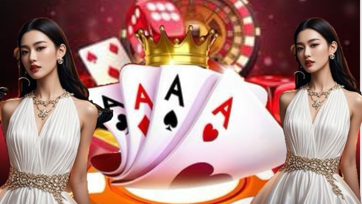 586 bet 586 bet