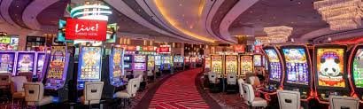 586 bet
